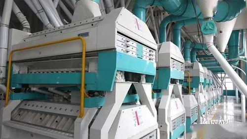 燕趙開新局 自動(dòng)化設(shè)備驅(qū)動(dòng)產(chǎn)業(yè)升級(jí)