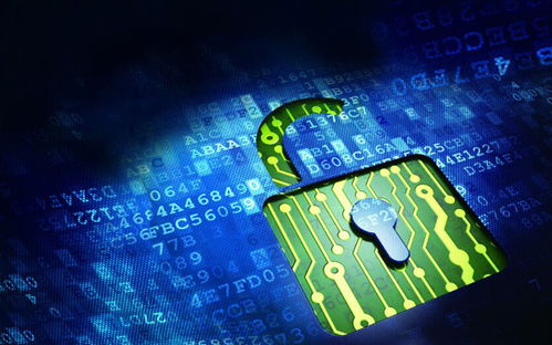 網絡信息安全防范與自我保護策略